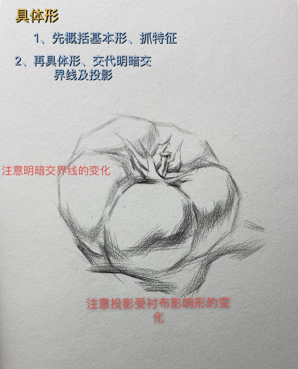 素描番茄简单图片