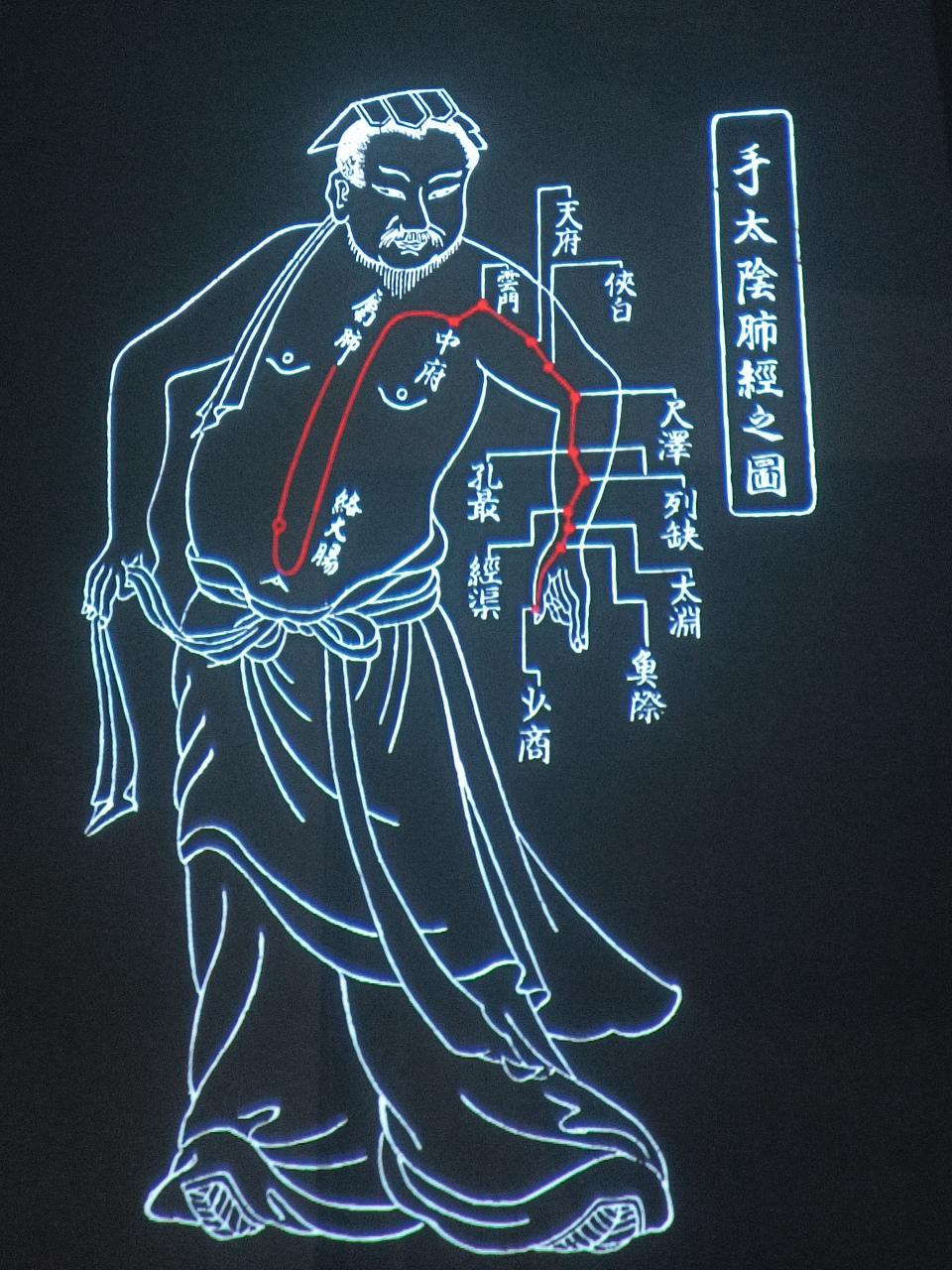 肺的宣发肃降功能是啥意思?