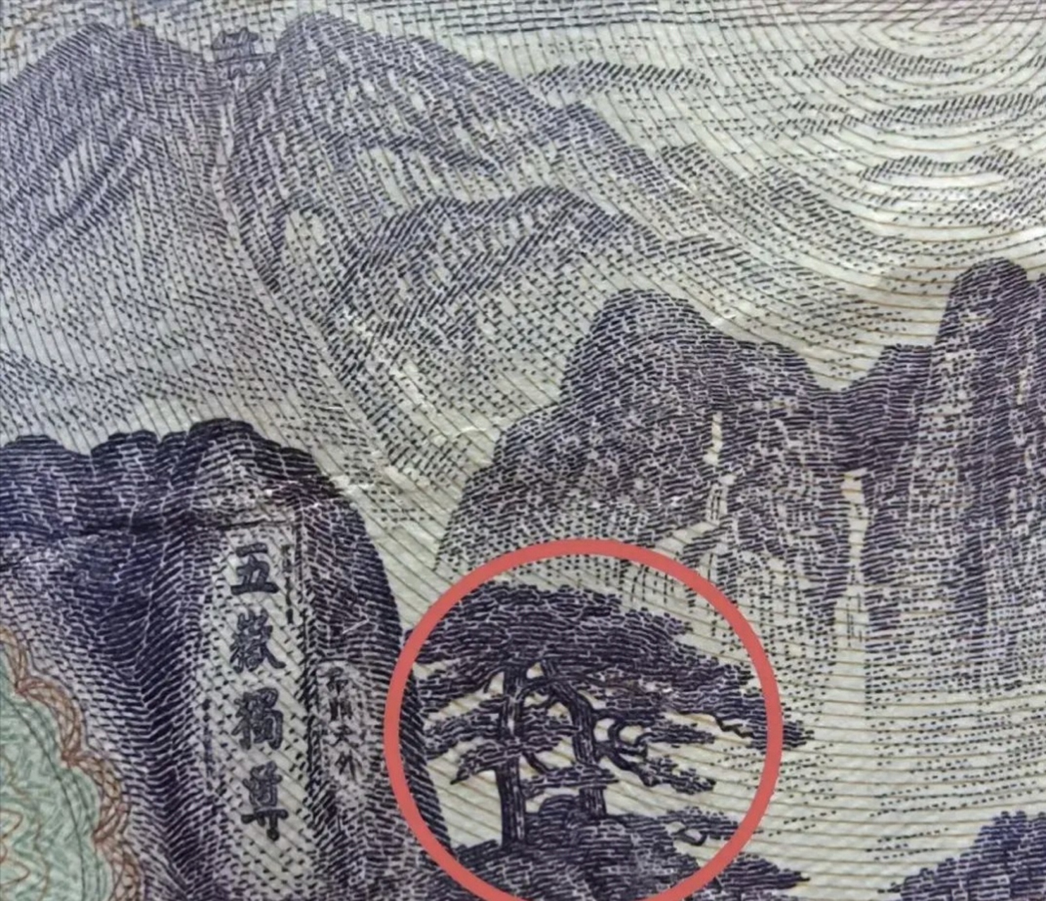 泰山上这两颗是不是黄山上的迎客松?