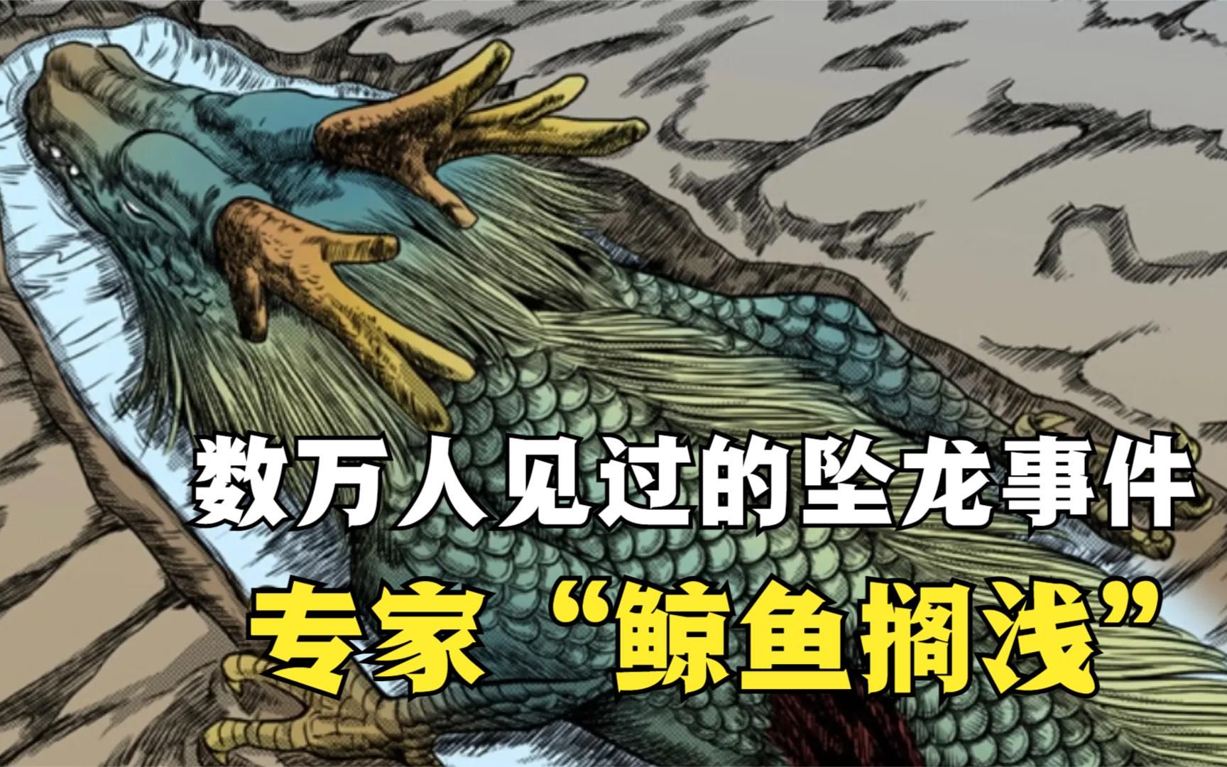 世界上真的有龙吗?答案可能出乎你的意料!