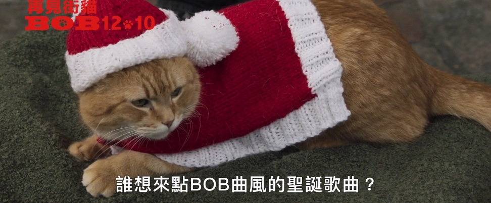 《再见街猫BOB》我这个人很简单，有猫能撸我就能活下去