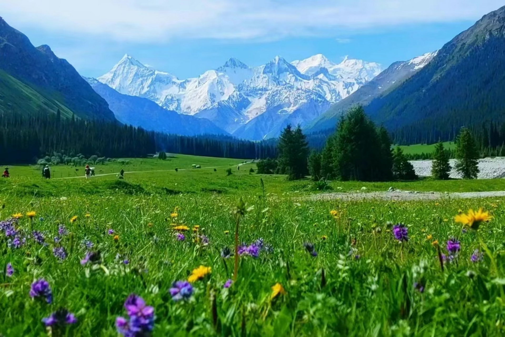 夏塔古道国家森林公园: 一处以雪山和峡谷风光为主,富有神奇色彩的的