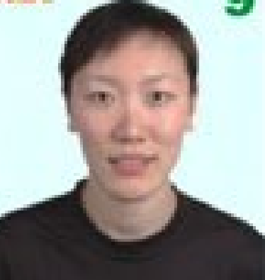 陈淼