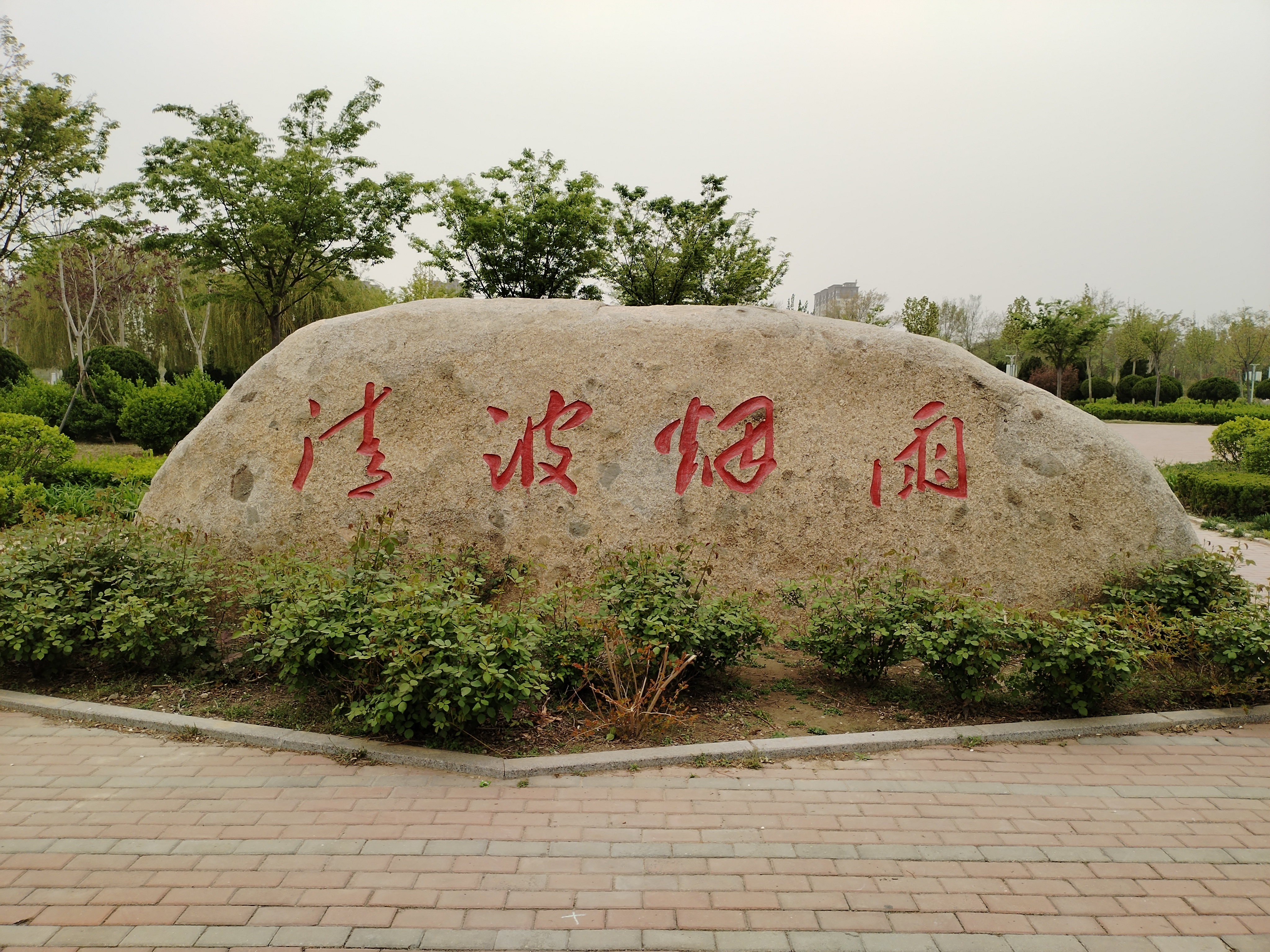 无棣清波烟雨植物园