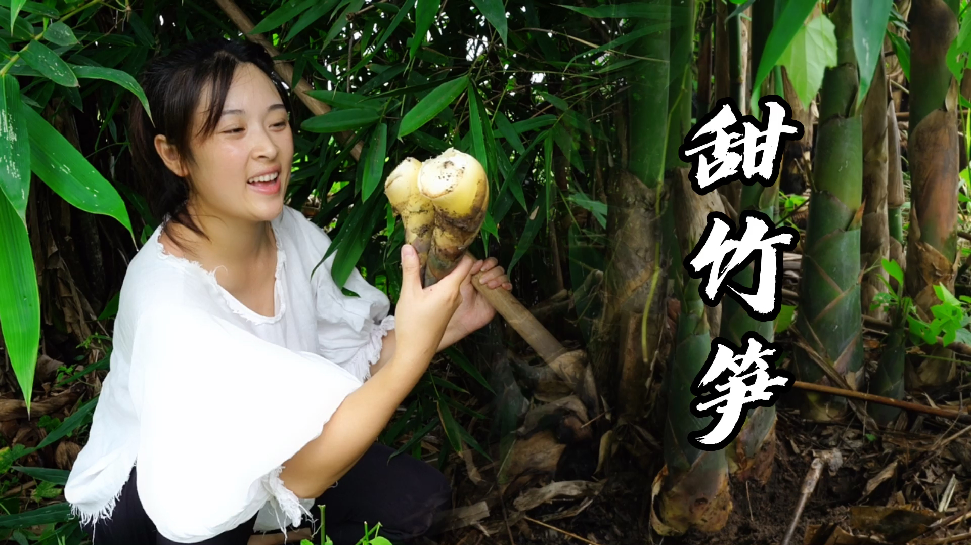 小向上山挖甜竹笋,做个竹笋烧鸡,鲜嫩爽口有营养!