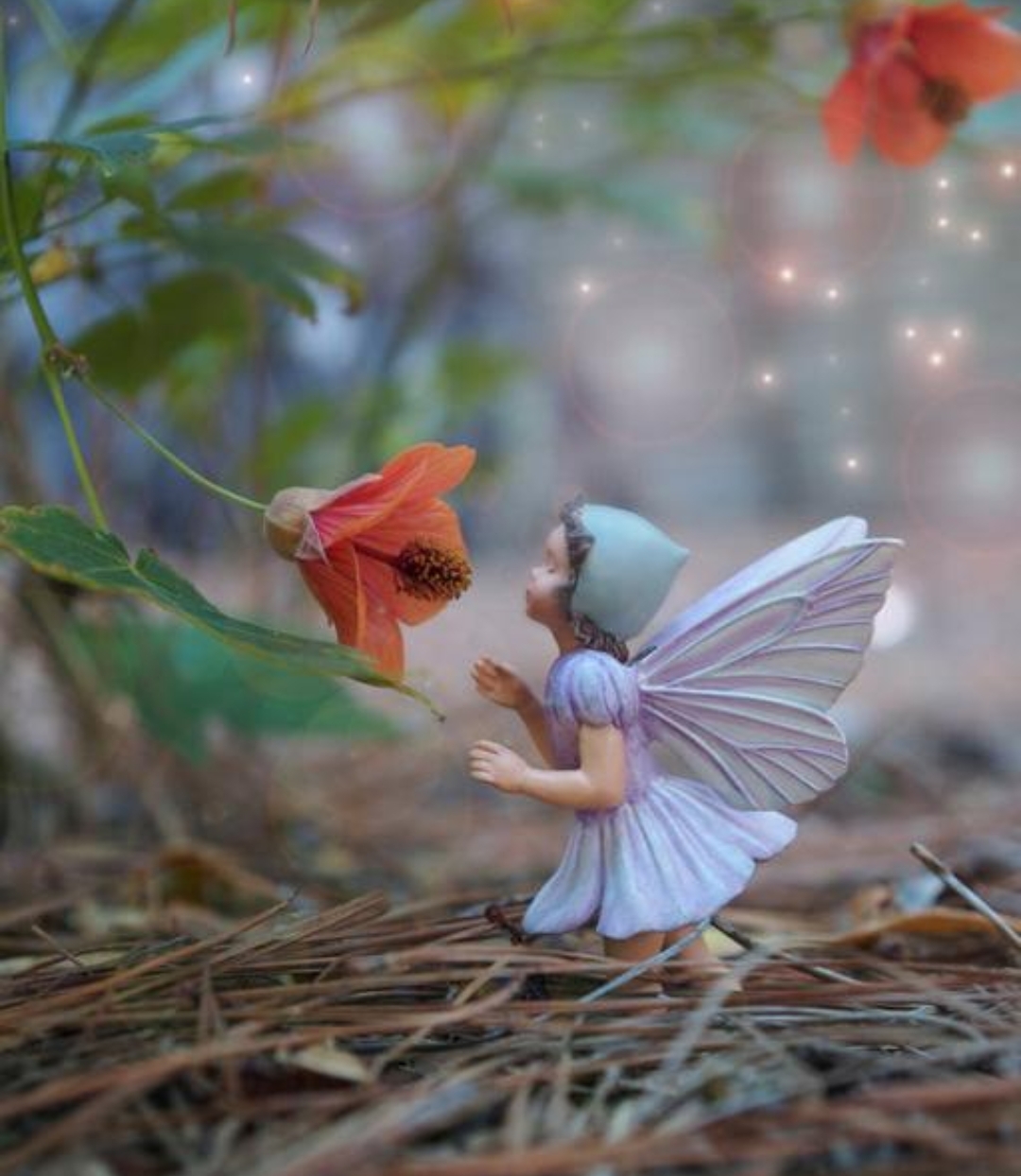 在复杂的世界里,做一个简单的人