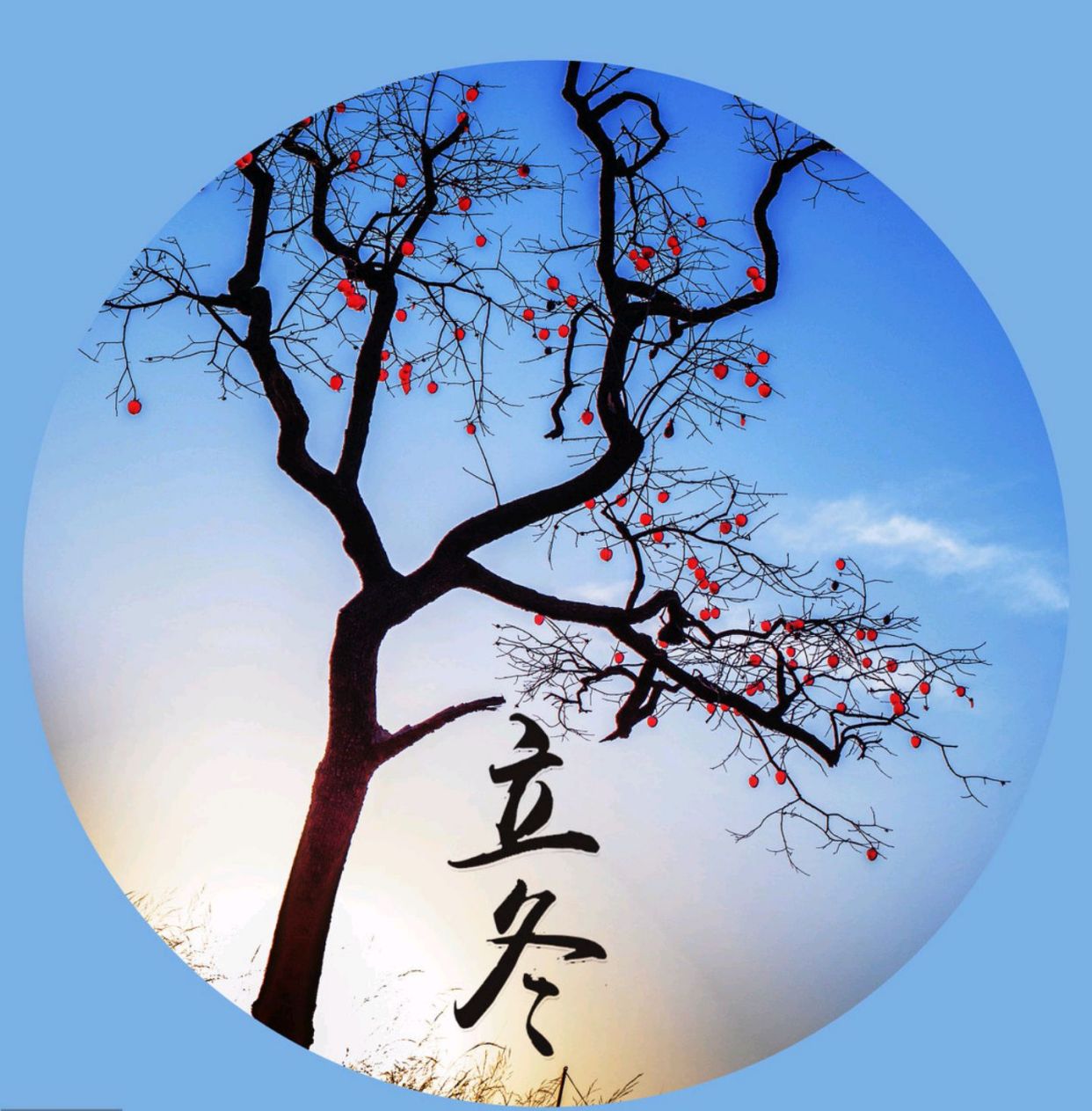 2021年是暖冬吗?立冬这天能预兆!看看谚语怎么说!