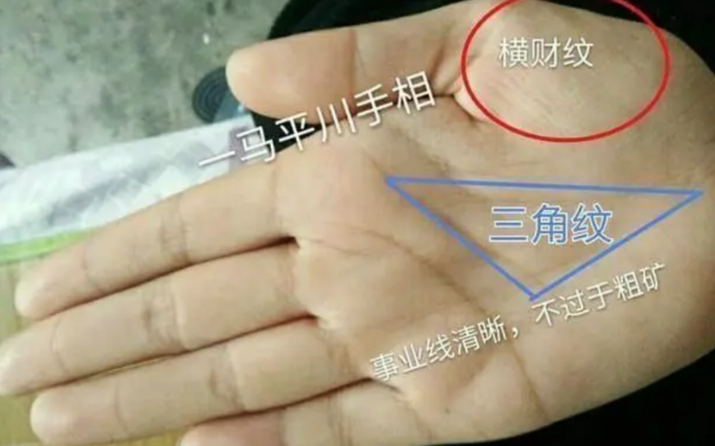 老话说:"三角纹在手,富到九十九",什么是三角纹?