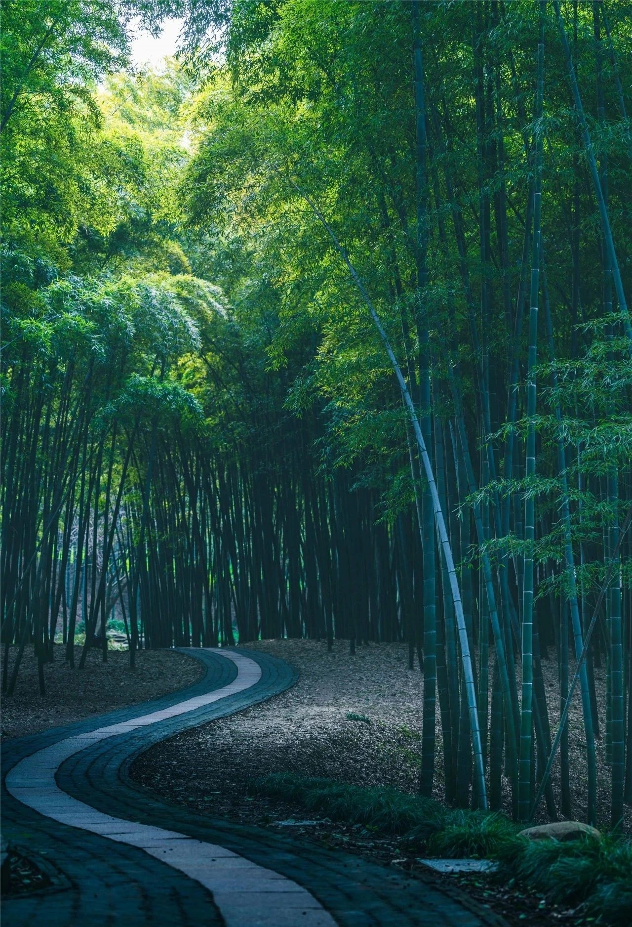 聊聊骆宾王