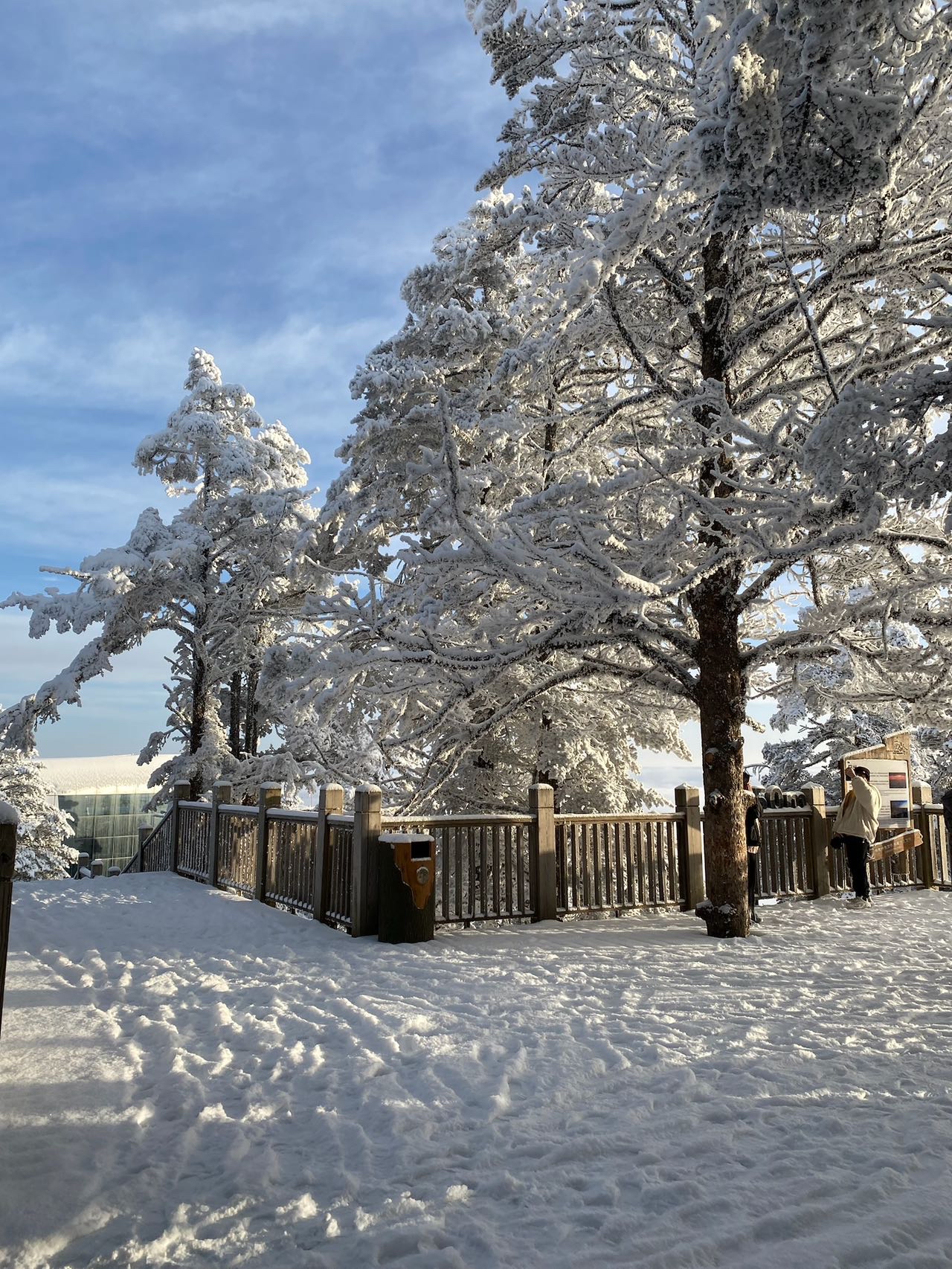 看雪15在这里15成都周边游—西岭雪山今年是个暖冬,天气一直比较