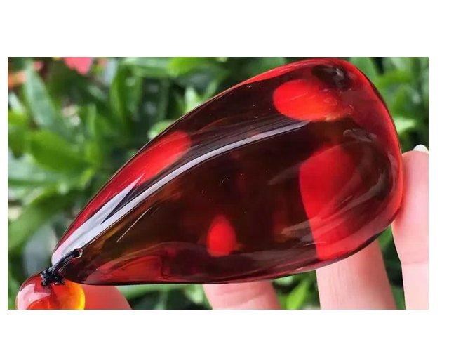 血珀用手电筒辨别真假