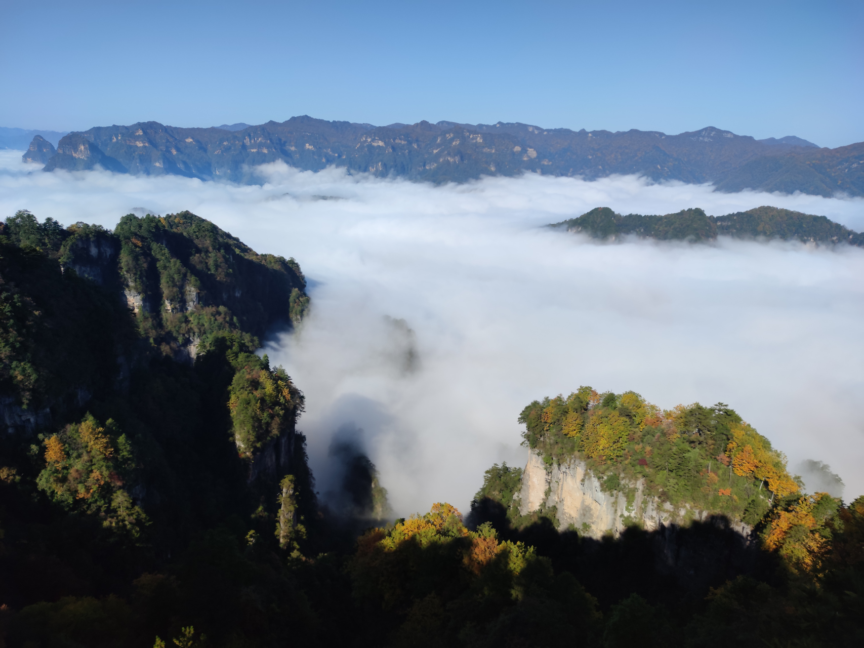 我2018年以来,去了五次米仓山风景区没有一次看到过这么壮观的云海,去