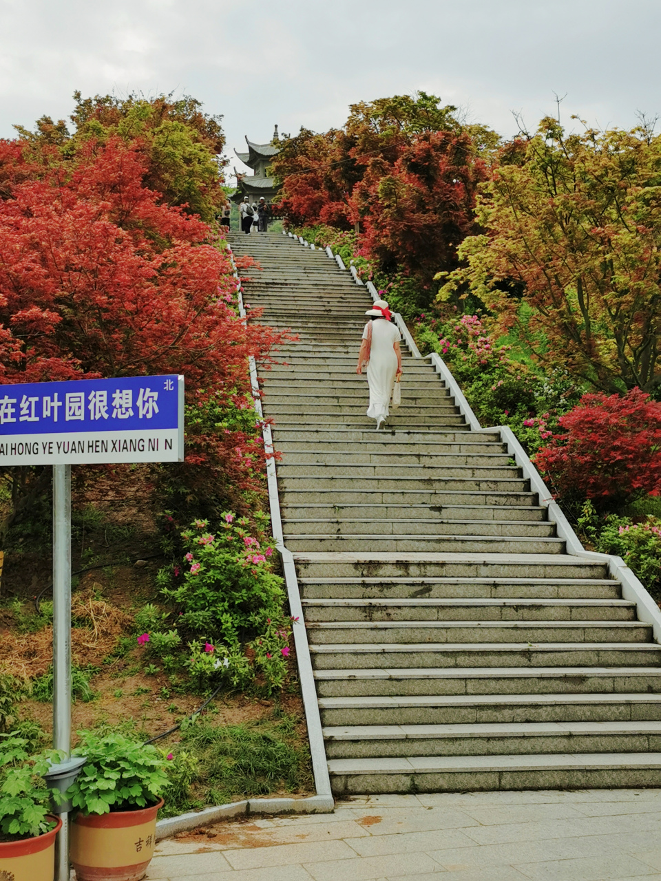 大荆镇桐阳村图片图片