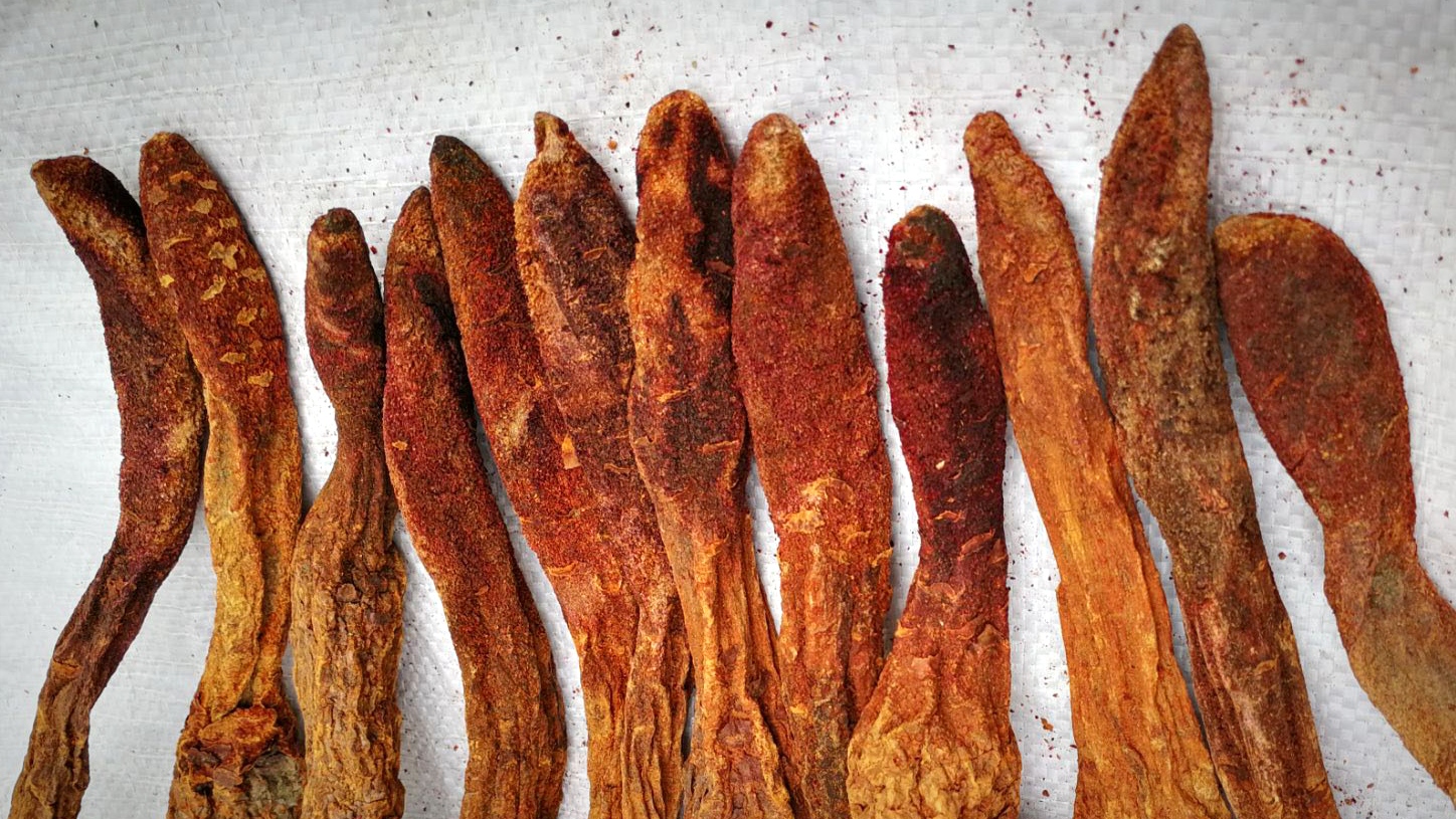 沙漠人参——锁阳