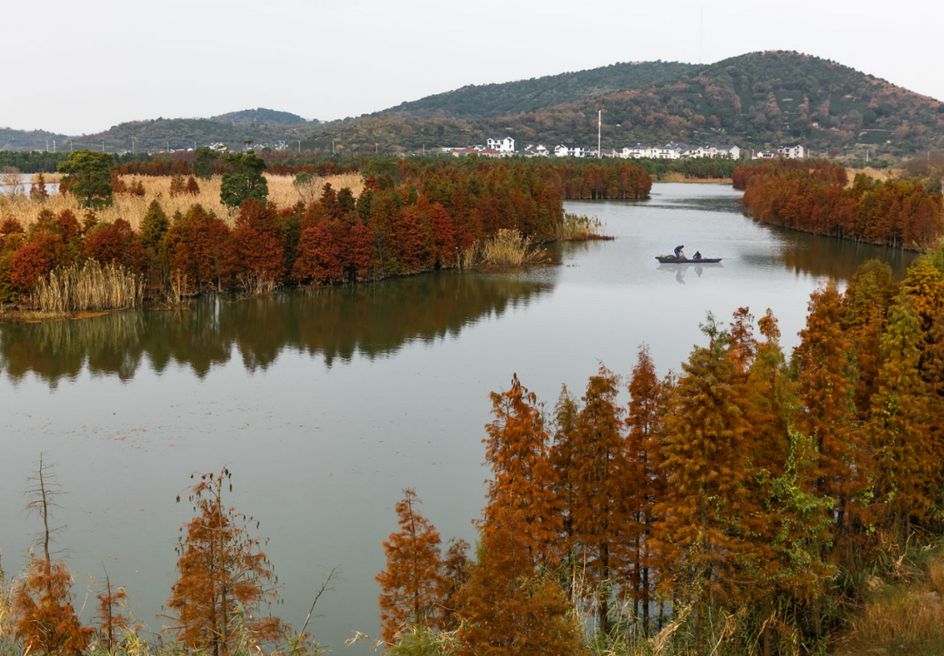 苏州观赏水杉林的5个好地方  苏州白鹭园公园: 亮点:位于独墅湖教堂和