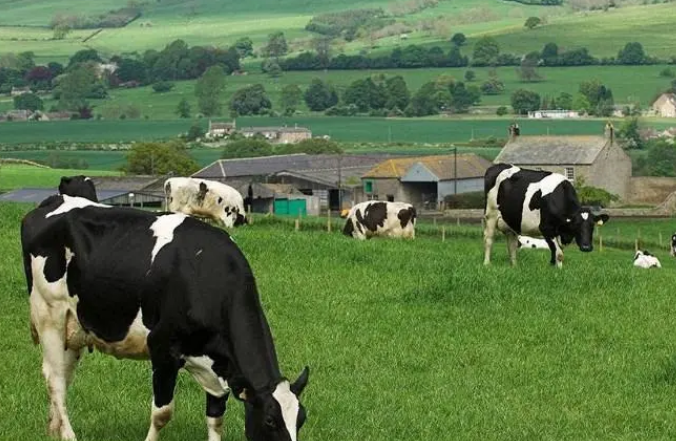 欧洲农业以什么业为主