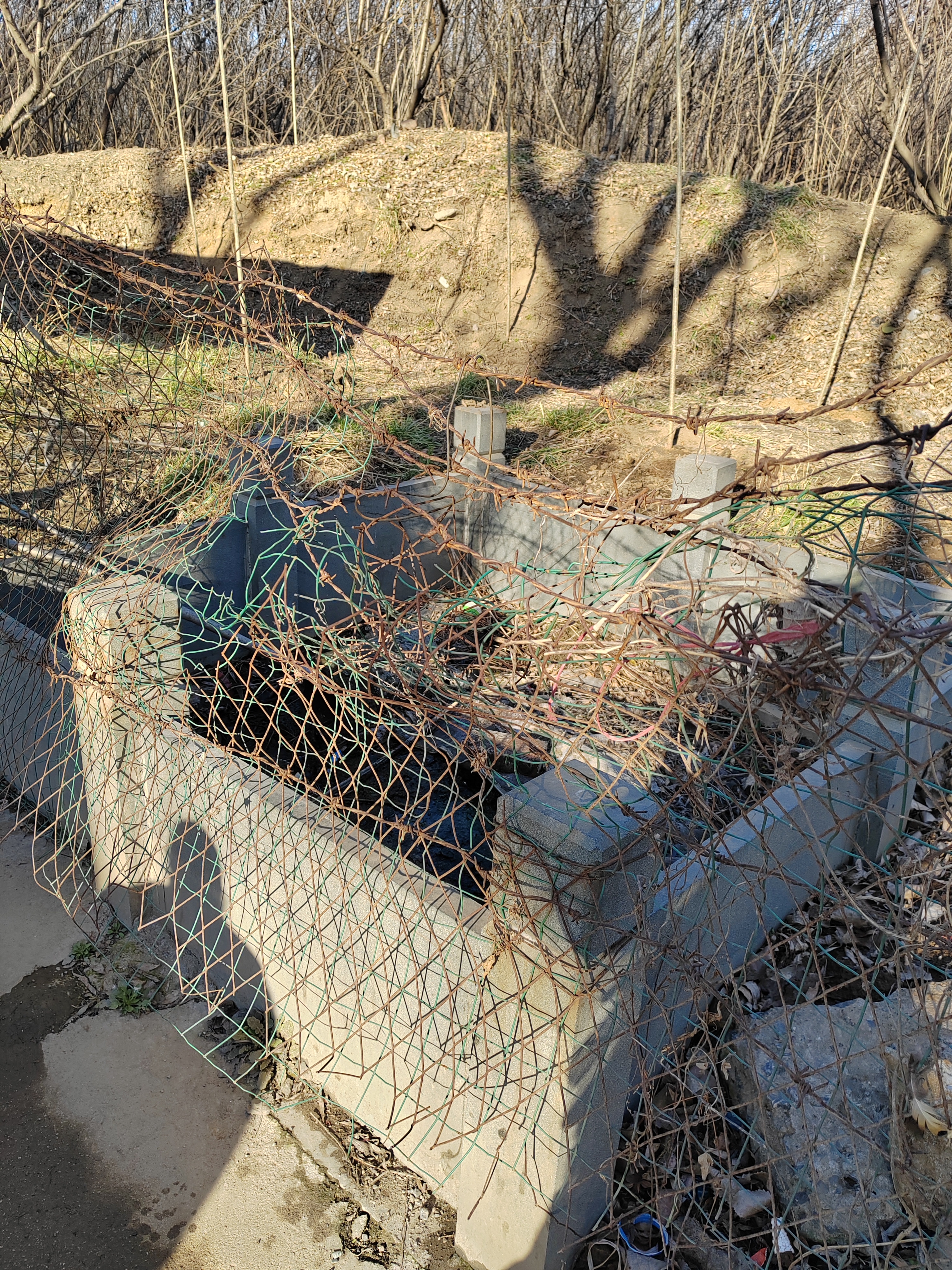 济南名泉之白泉