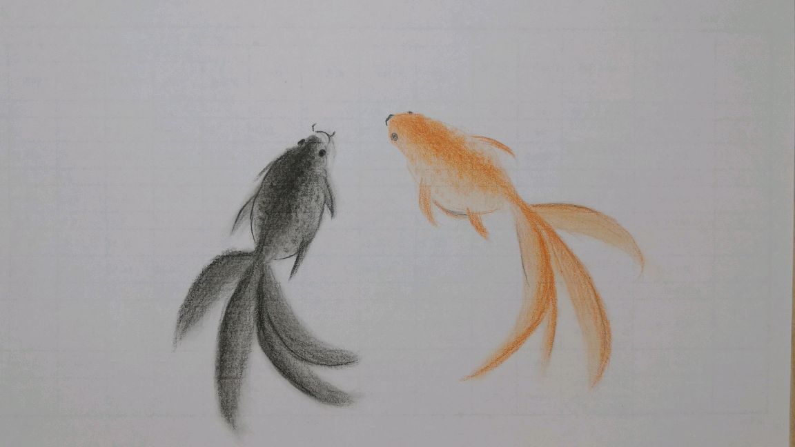 彩铅画,红鱼,黑鱼,两只小鱼游啊游