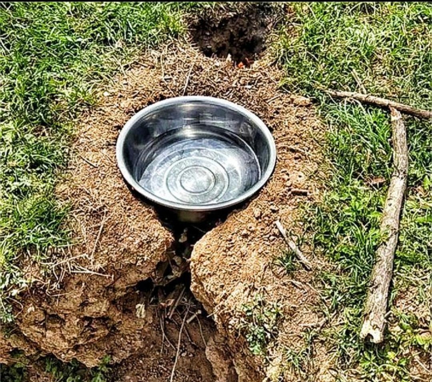 标准的单兵野战无烟灶