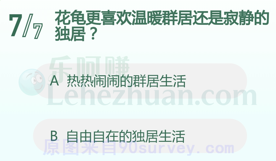 花龟更喜欢热热闹闹的群居生活