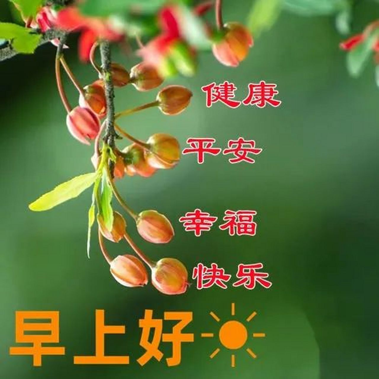 早安问候的暖心句子,早安问候语 清晨的微风轻轻吹过,带来了我温馨的