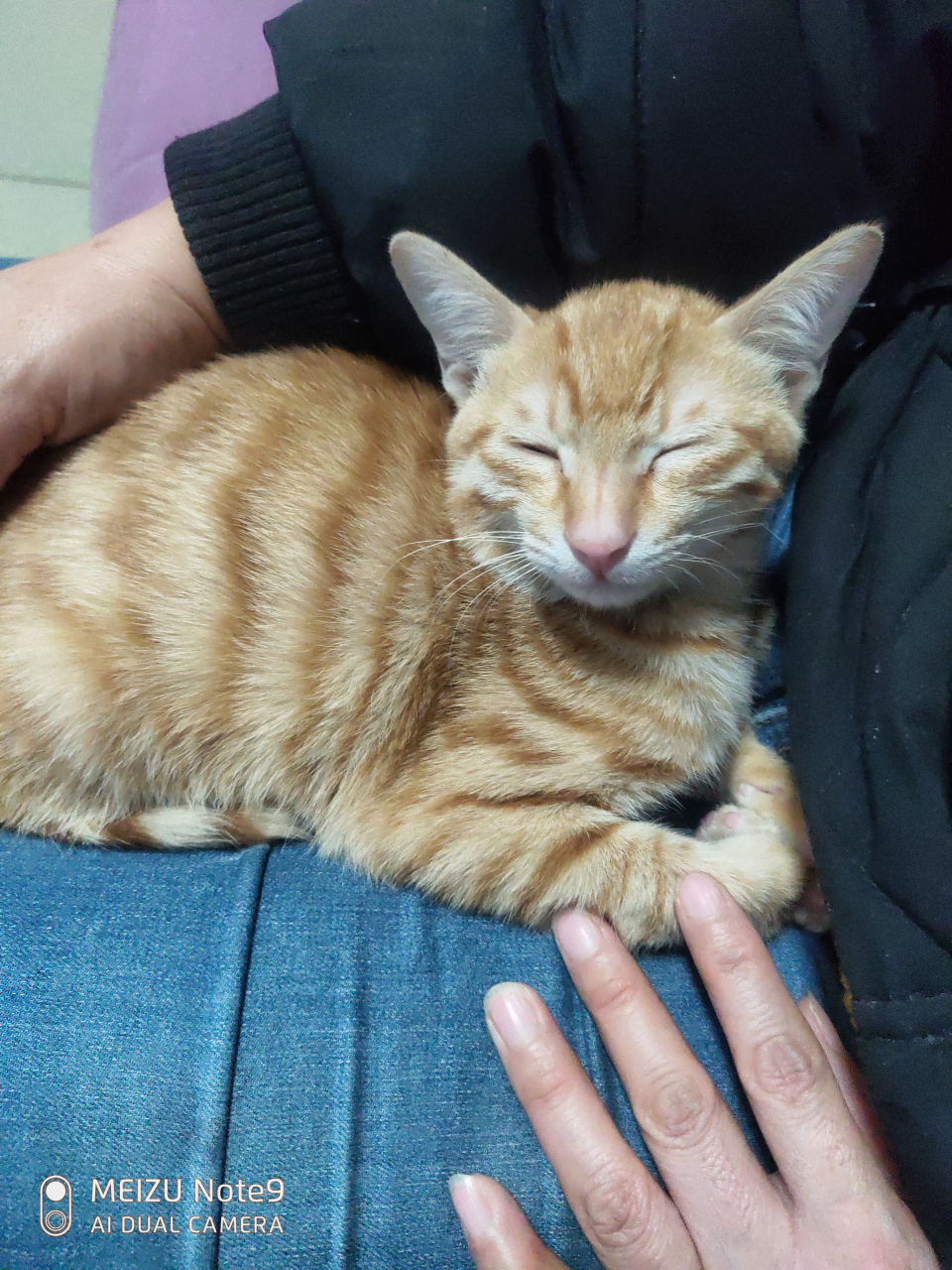 有没有同款萌萌的猫孩子