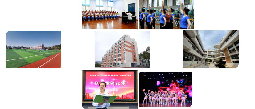益阳师范高等专科学校!2023年单独招生简章
