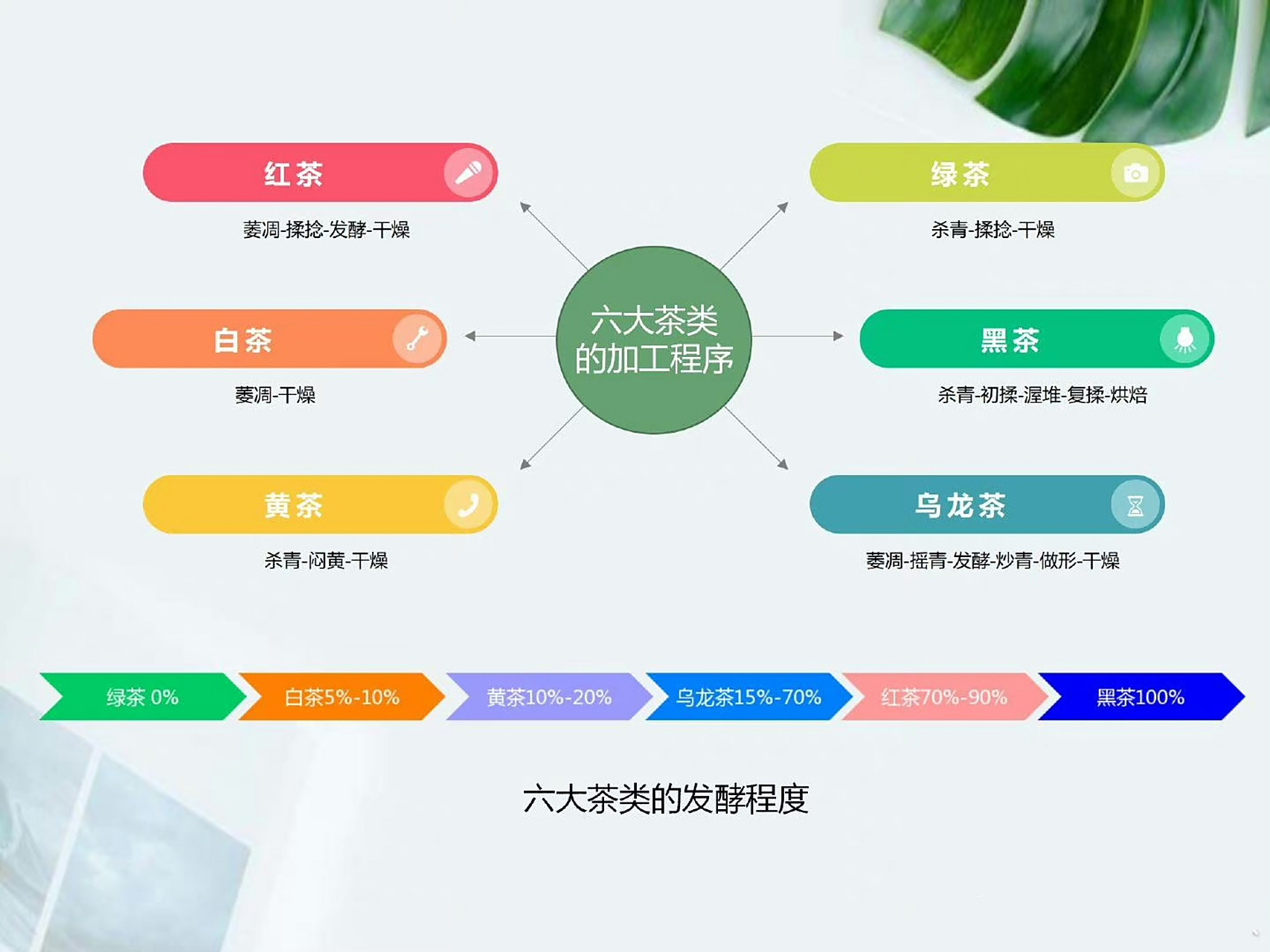 四图简单明了看懂茶的分类!