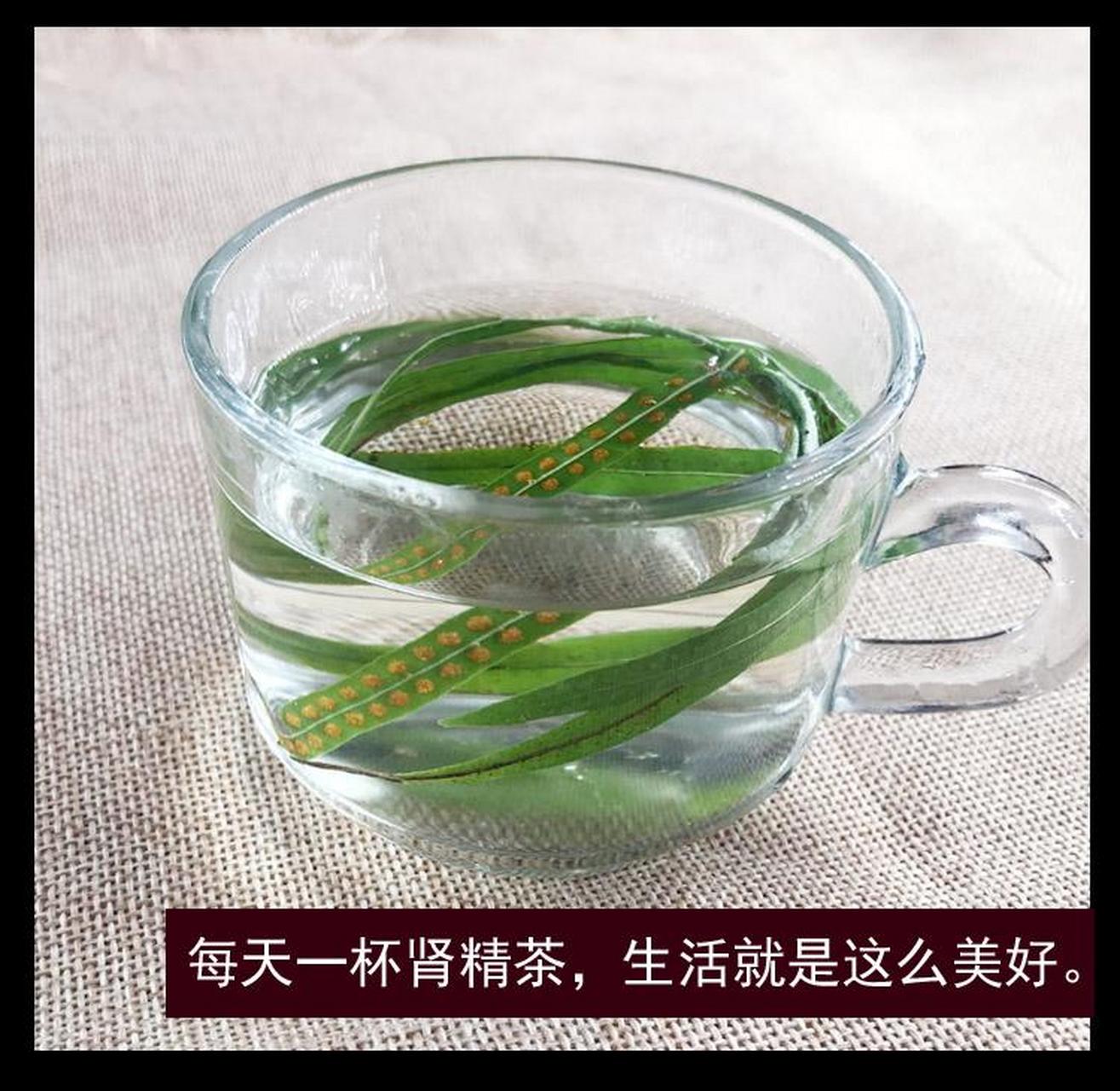 排名第一最强补肾茶叶(补肾的茶哪个效果好百度知道)
