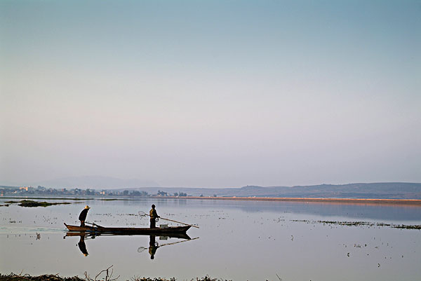 天热鲫鱼难钓.只要调整好方法,照样连竿