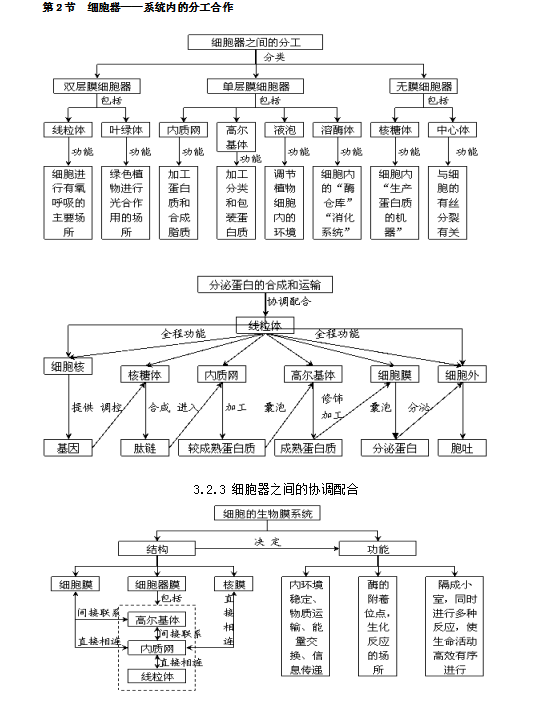 高中生物必修一思維導圖,快速掌握知識點