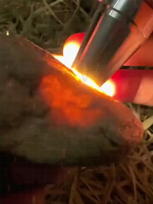 莫西沙翡翠原石320克,白皮白雾一针发黑,白雾均匀