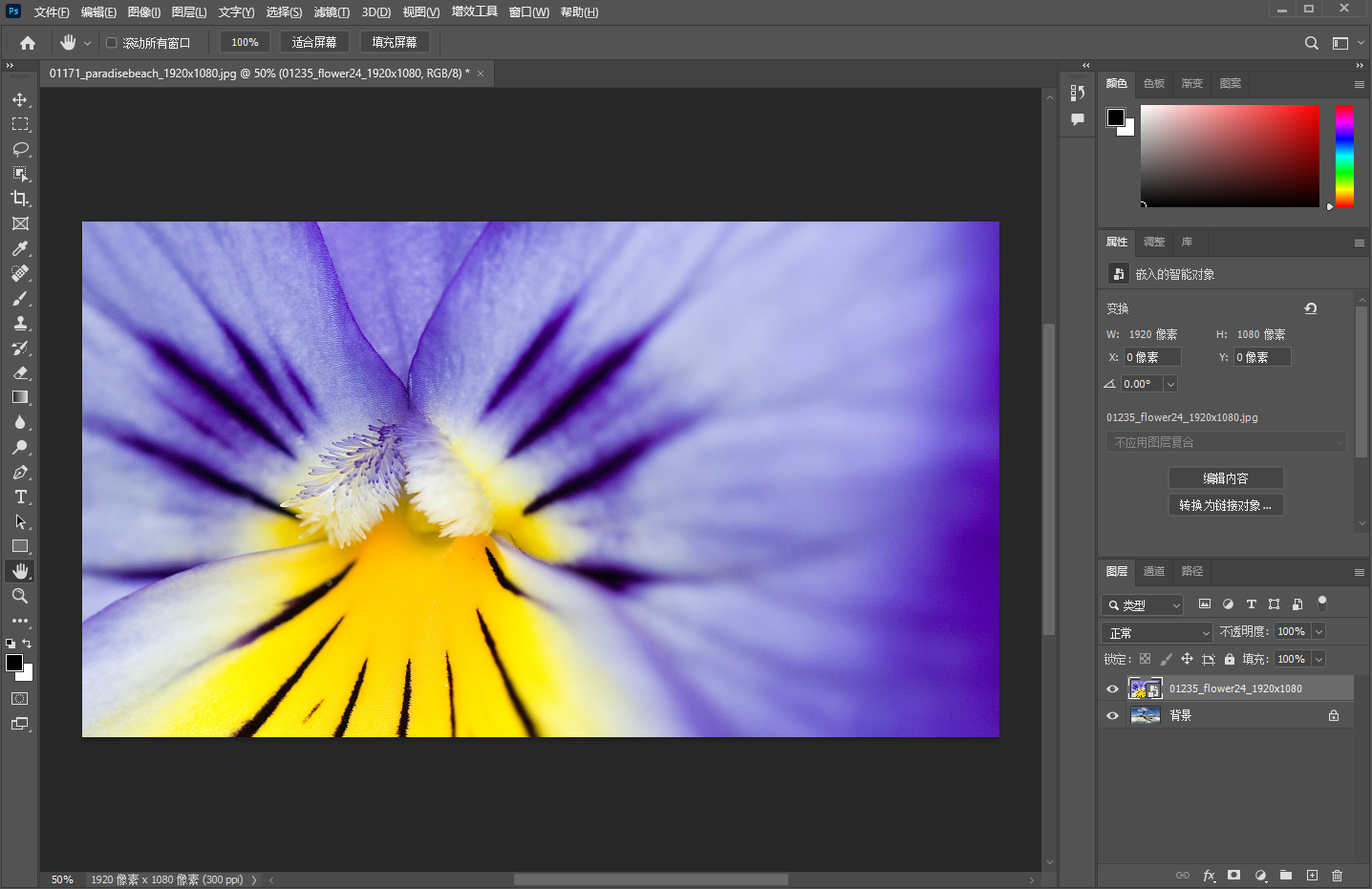 ps软件下载win10-photoshop软件2021中文版下载安装win/mac版