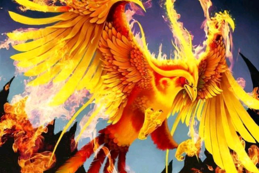 凤凰是上古神兽,为何它生下的孔雀和大鹏都喜欢吃人