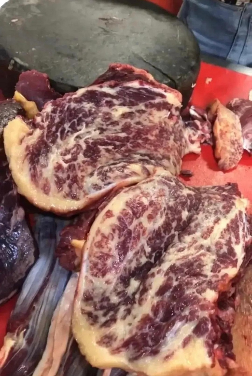 黄牛驼峰肉图片