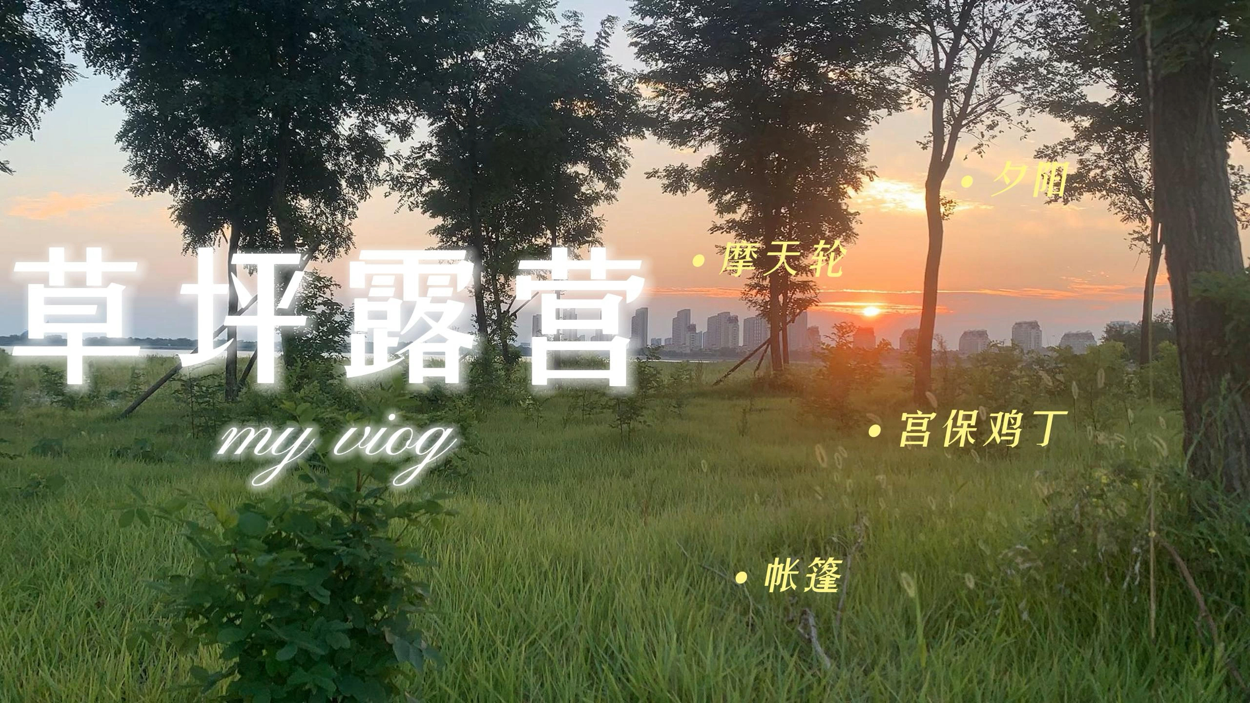 草坪露营自制宫保鸡丁美滋滋