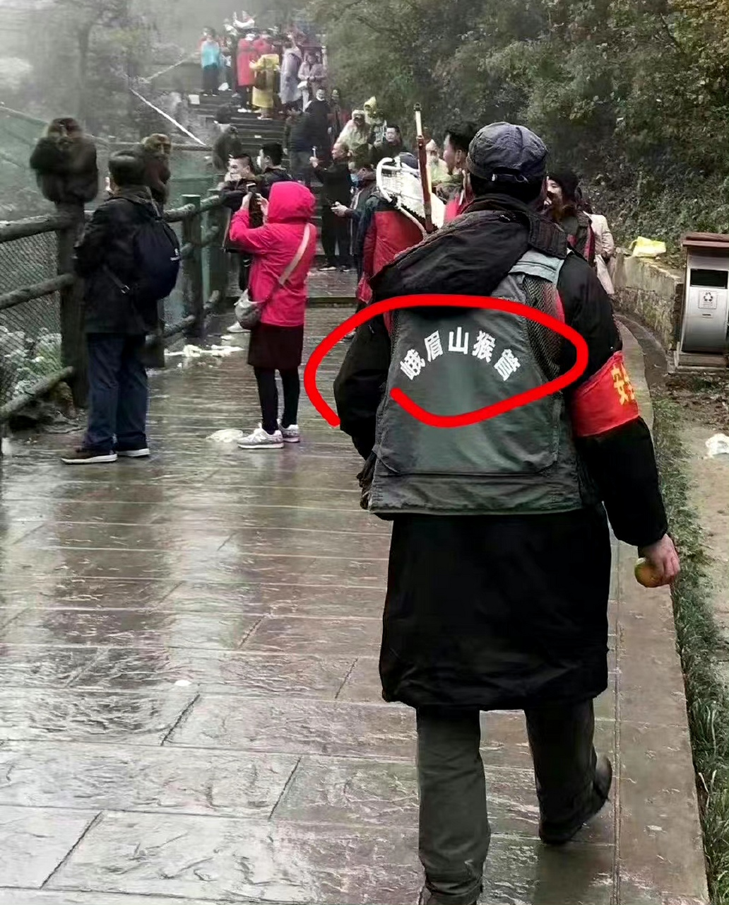 终于有人收拾峨眉山的孙猴子了![笑哭]