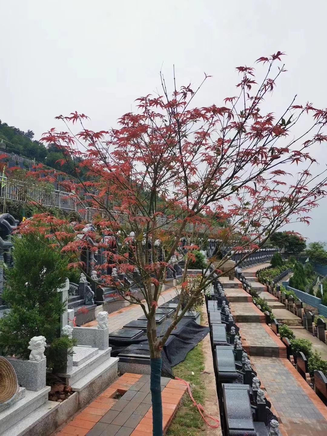 木洞宝山陵园图片