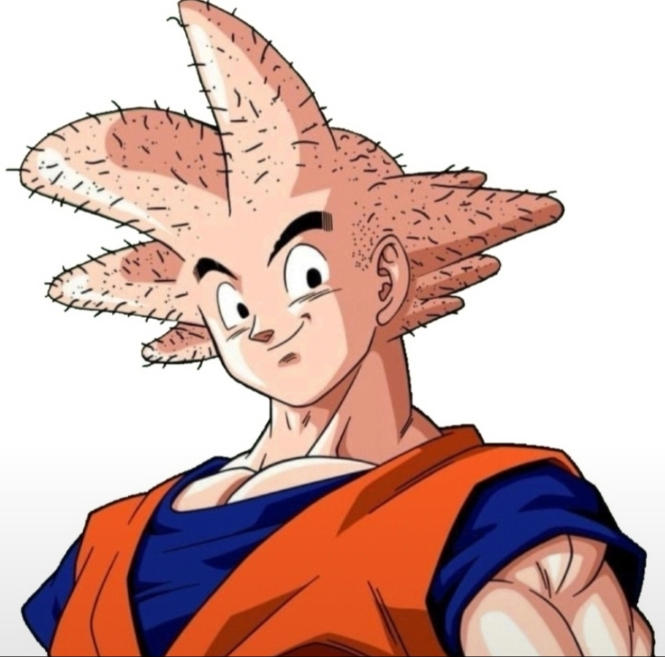 原来卡卡罗特不是发型特别,而是头型特别,仔细想想,卡卡罗特作为一个