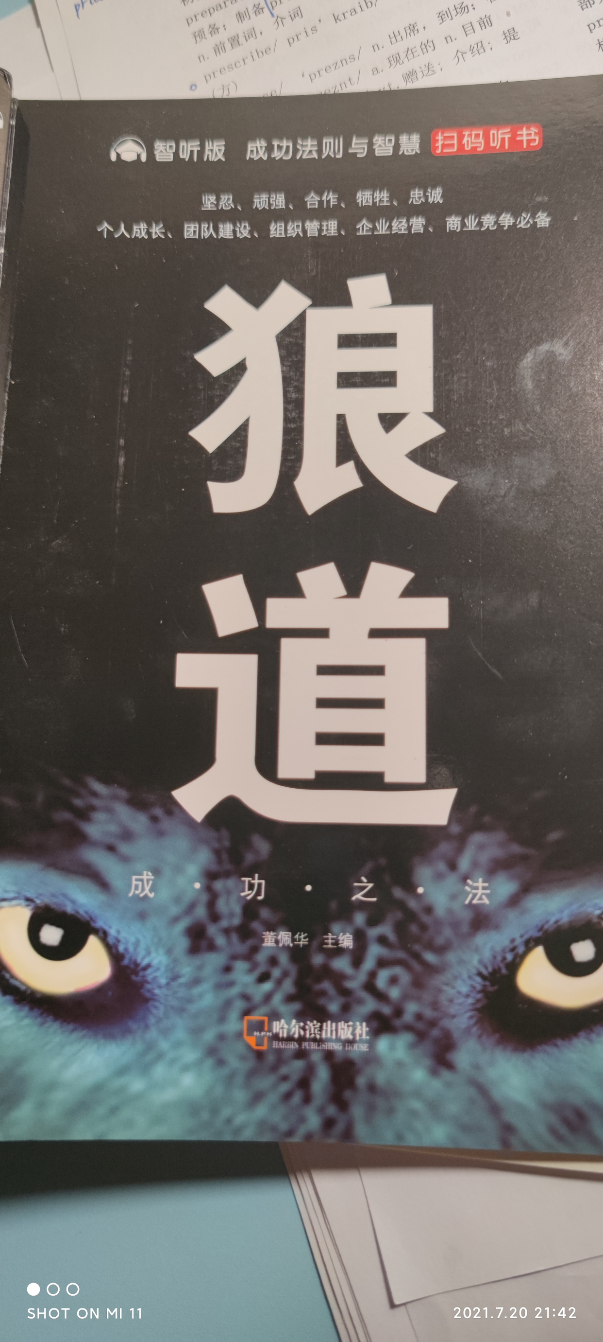 《狼道》读后感(2)