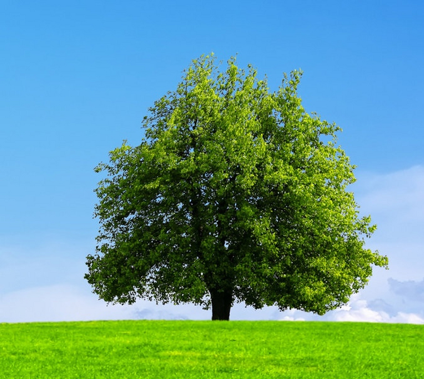 大自然赋予我们无尽的美丽与生机.