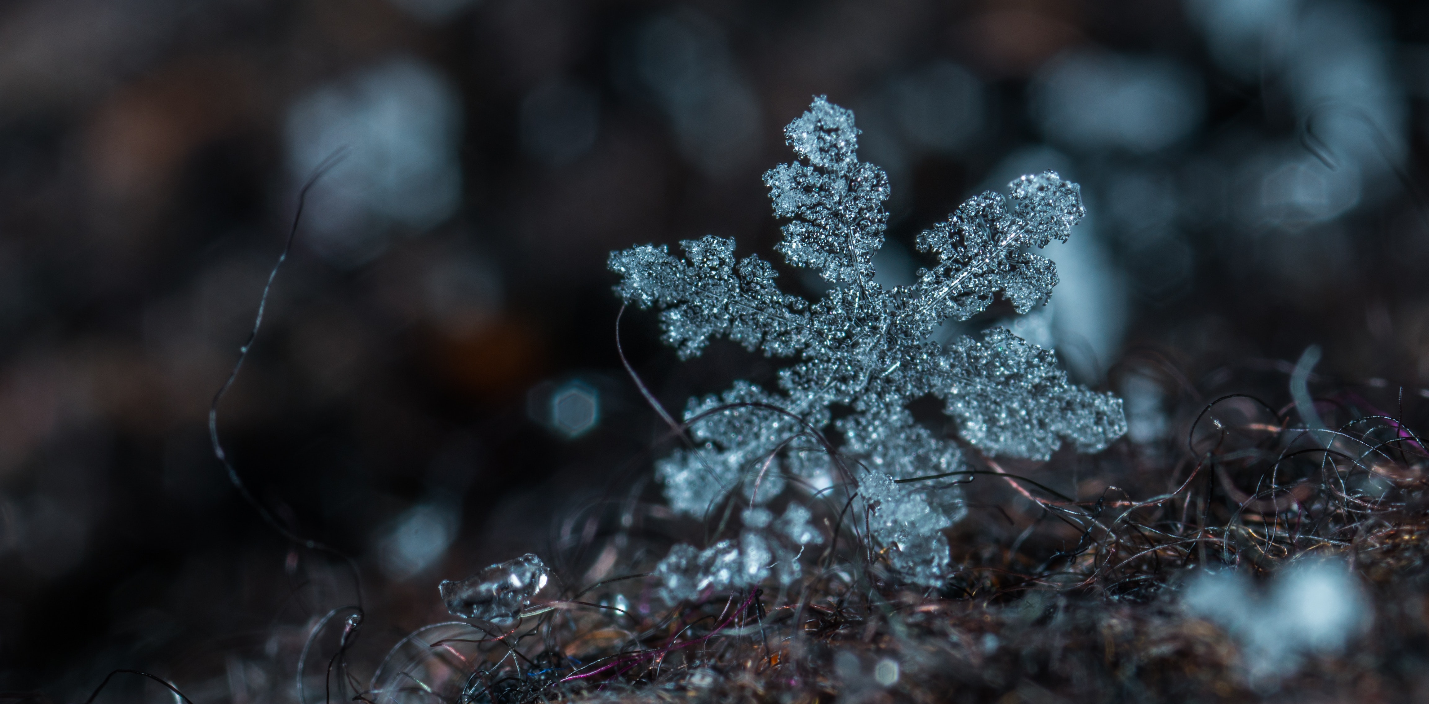 现代诗歌雪花