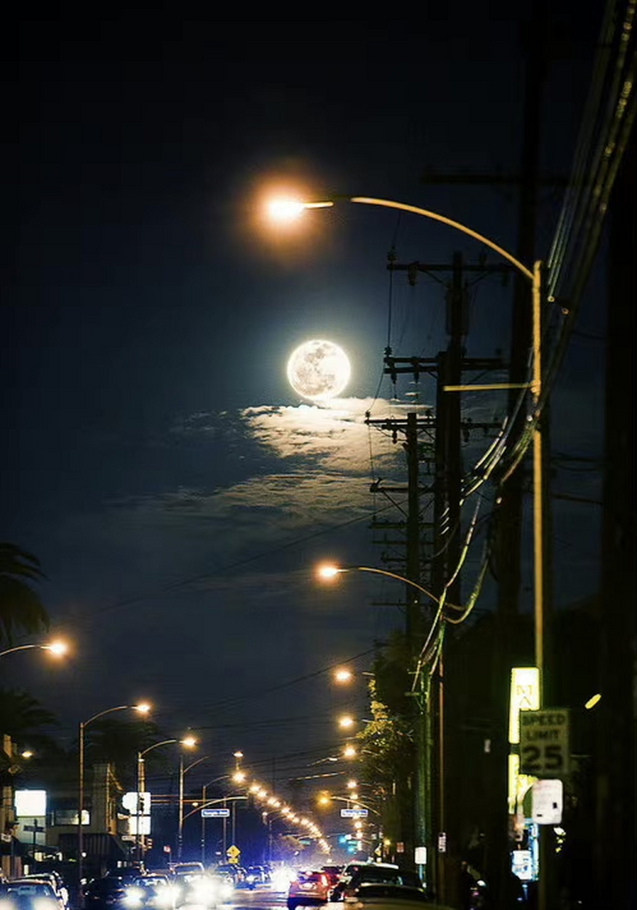 我爱上了夜的自由,爱上了夜的宁静. 睡不着的夜晚,你在想些什么呢?