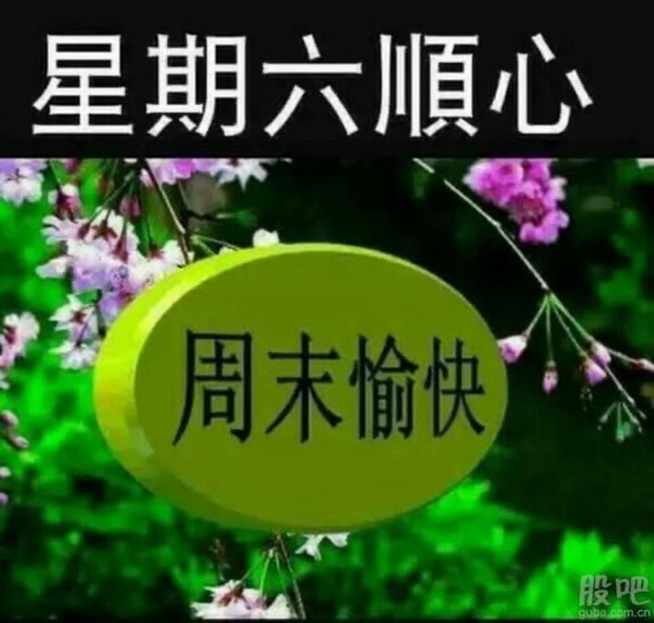 周六好!