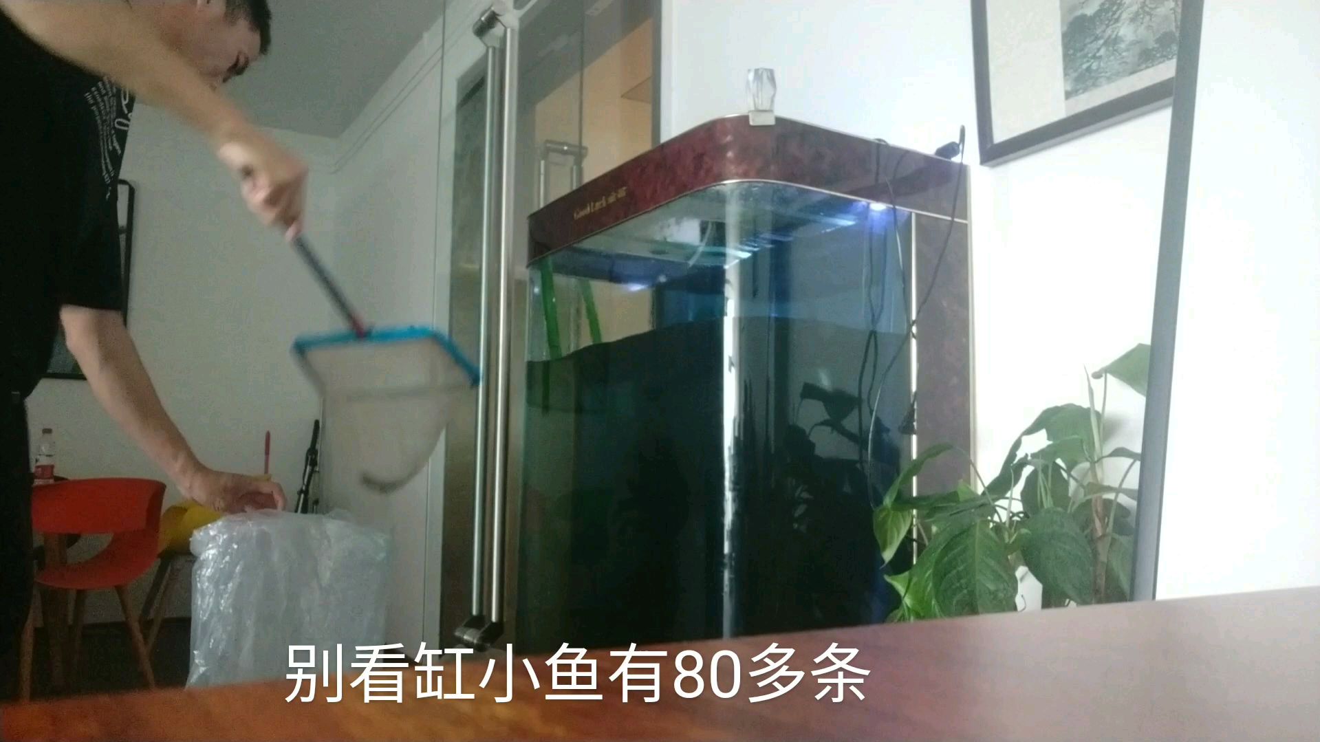 四季发财太快了不好捞!看专业捞鱼人怎么表演的!