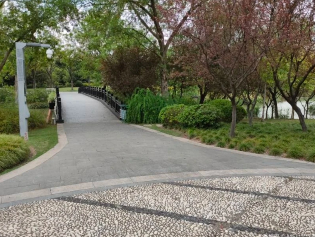 上海莘庄黎安公园城市中安逸的美景