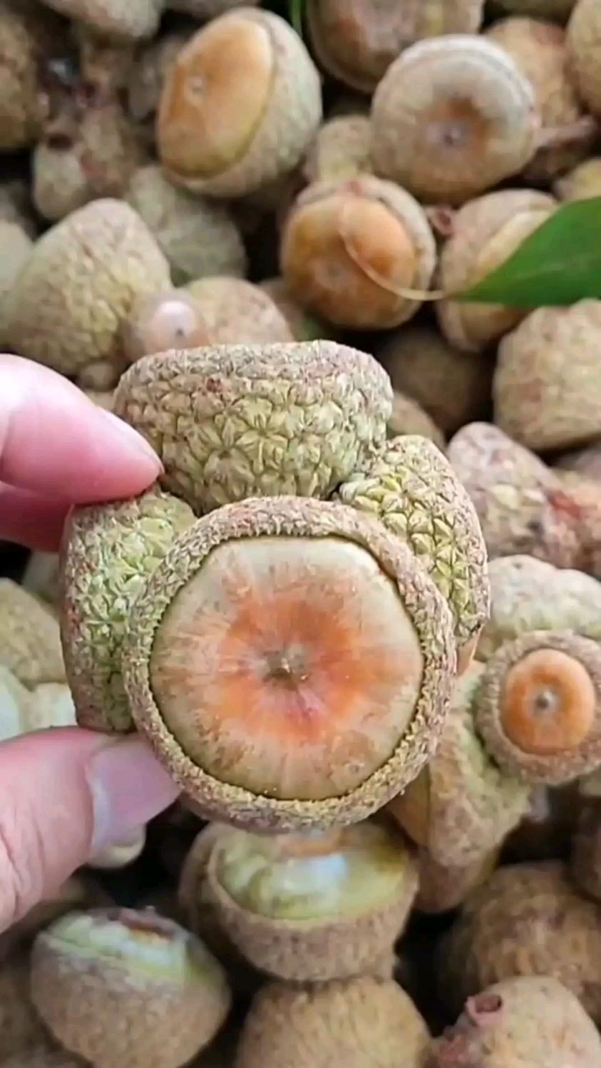 民间美食石头果煲汤