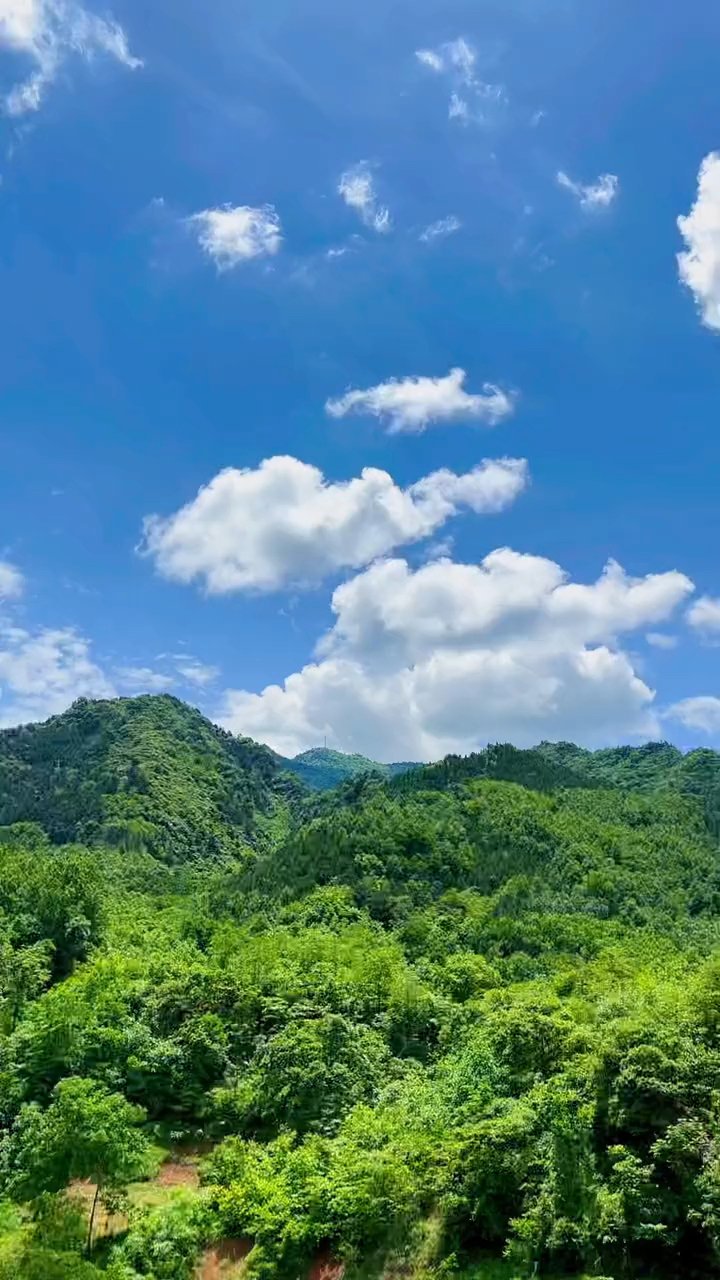 大山说是翠绿的,天空说是蔚蓝的,云朵说是洁白的