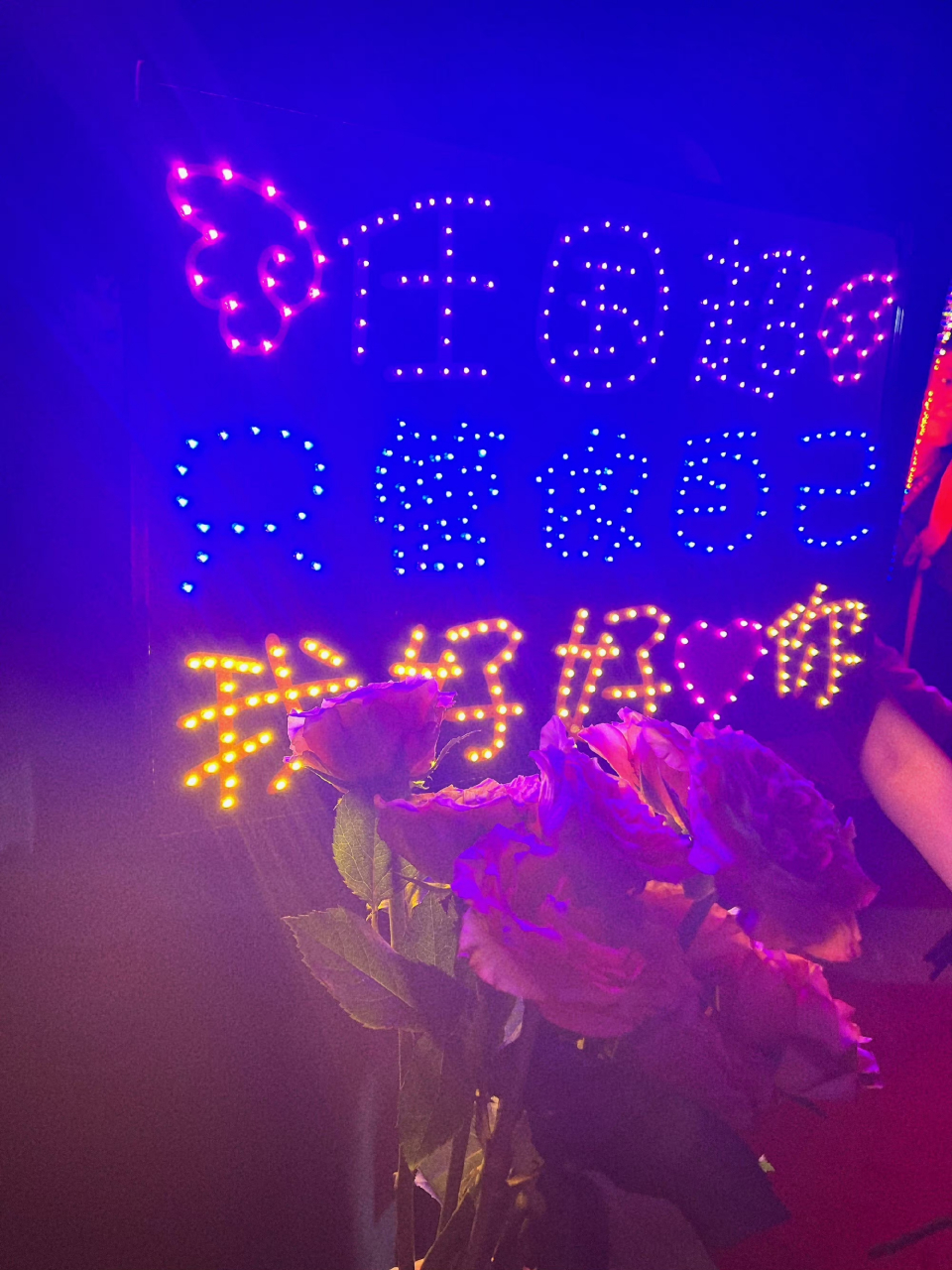 任嘉伦# 浪漫鲜花和灯牌