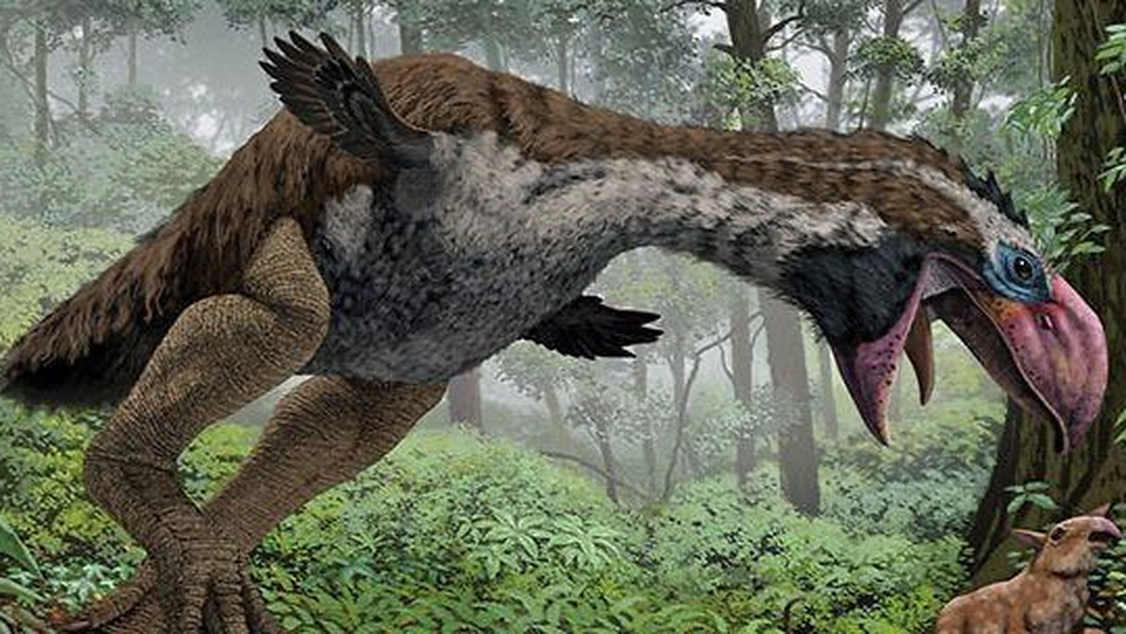 南美洲恐怖鸟  南美洲恐怖鸟(terror bird),也称为"恐鸟",是一种体型